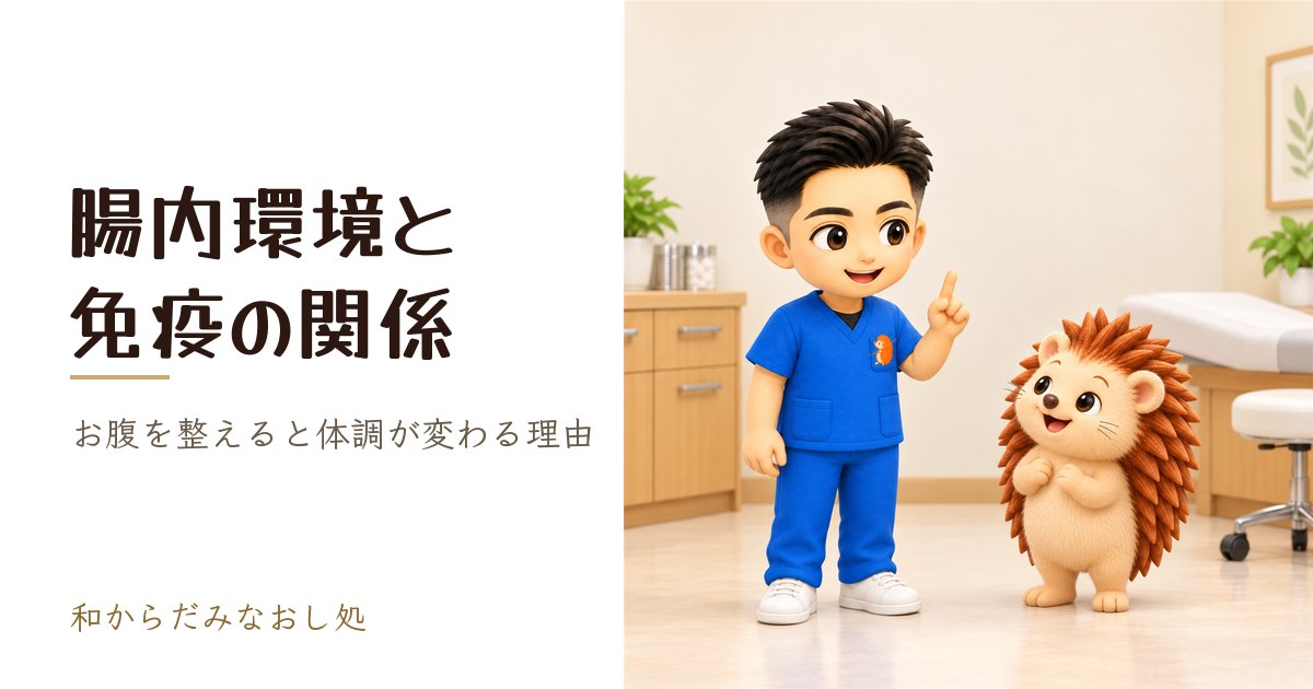 腸内環境と免疫の関係｜お腹を整えると体調が大きく変わる理由