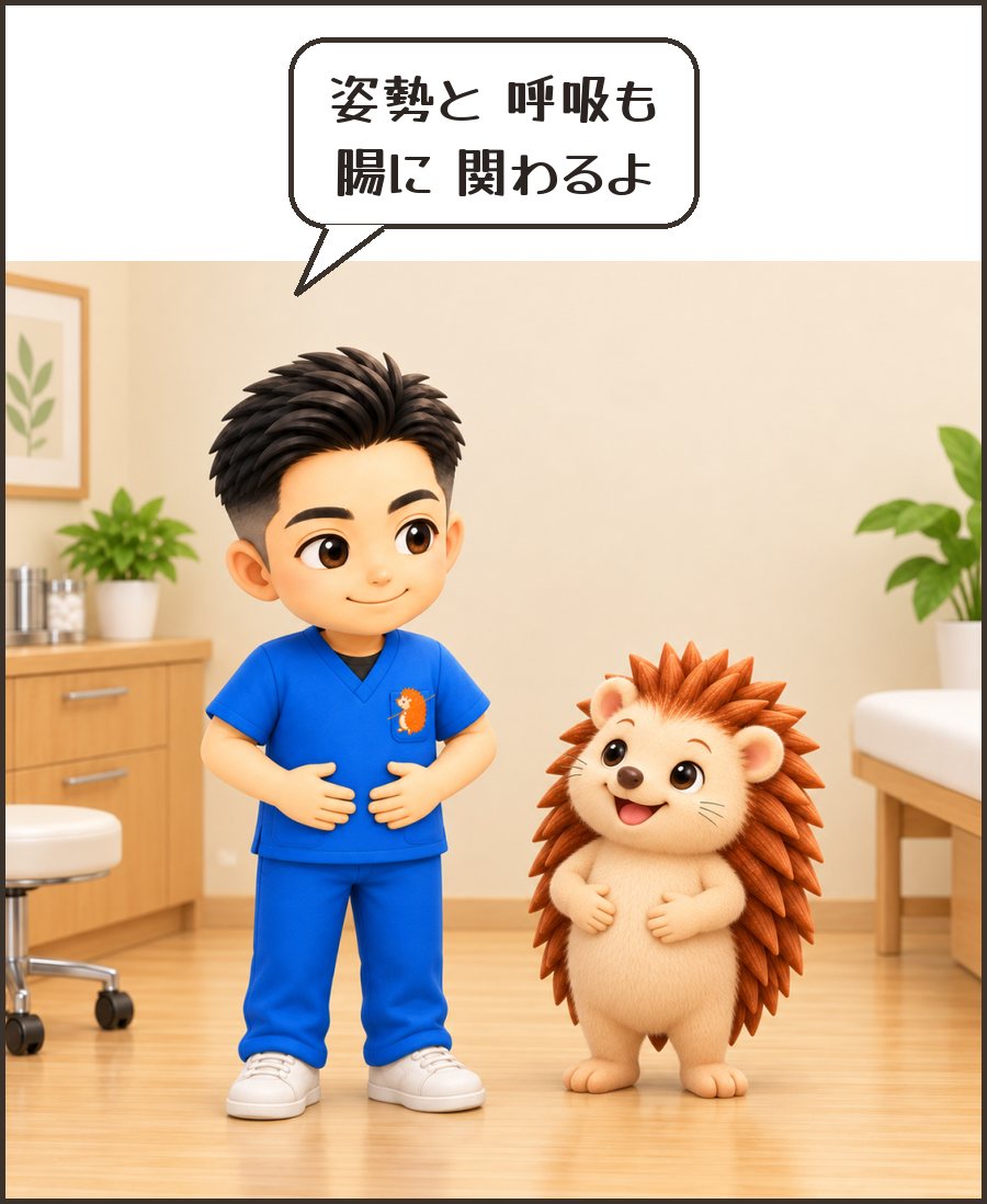 院長「姿勢と 呼吸も 腸に 関わるよ」