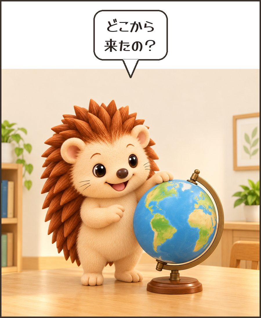 地球儀を見るハリーちゃん「どこから 来たの？」