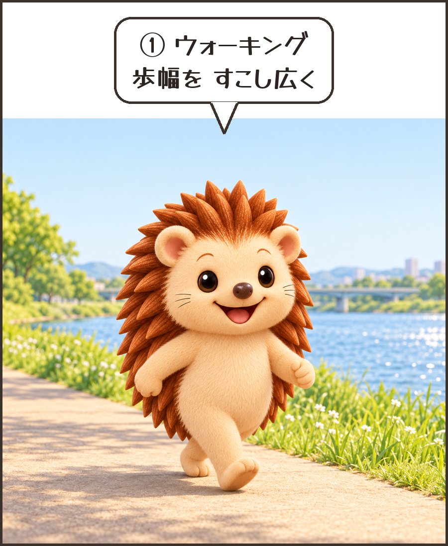 ウォーキングするハリーちゃん「① ウォーキング 歩幅を すこし広く」