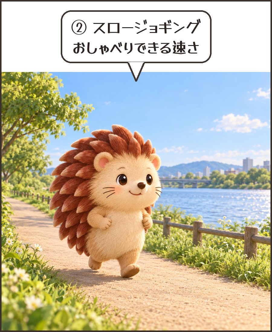 ゆっくり走るハリーちゃん「② スロージョギング おしゃべりできる速さ」