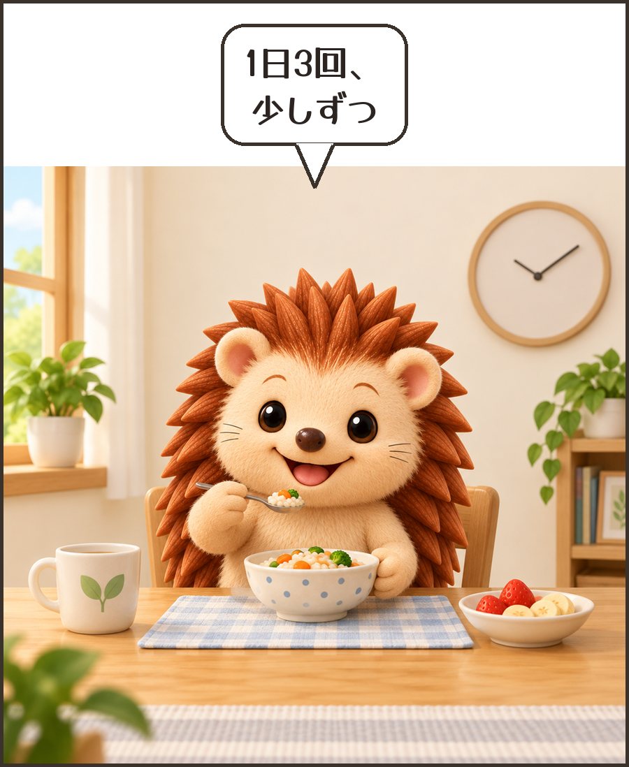 時計の前で少しずつ食べるハリーちゃん「1日3回、少しずつ」