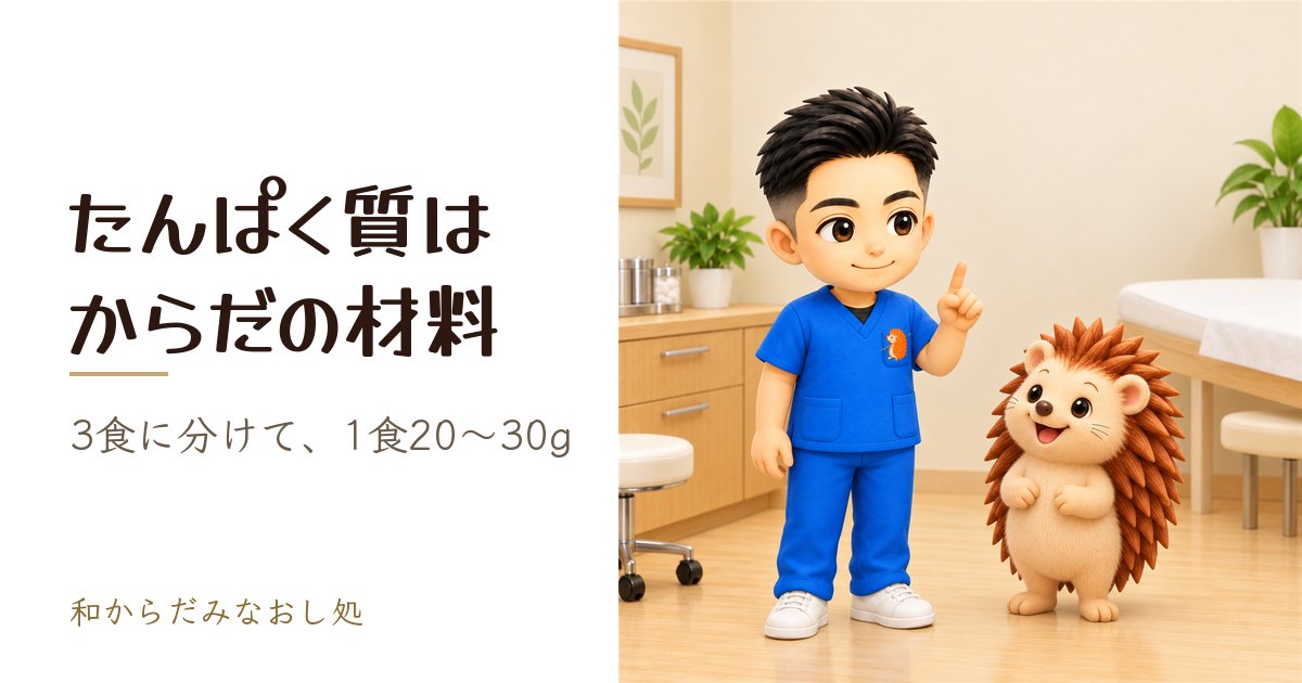 からだの修復に欠かせない「タンパク質」の基本をわかりやすく解説