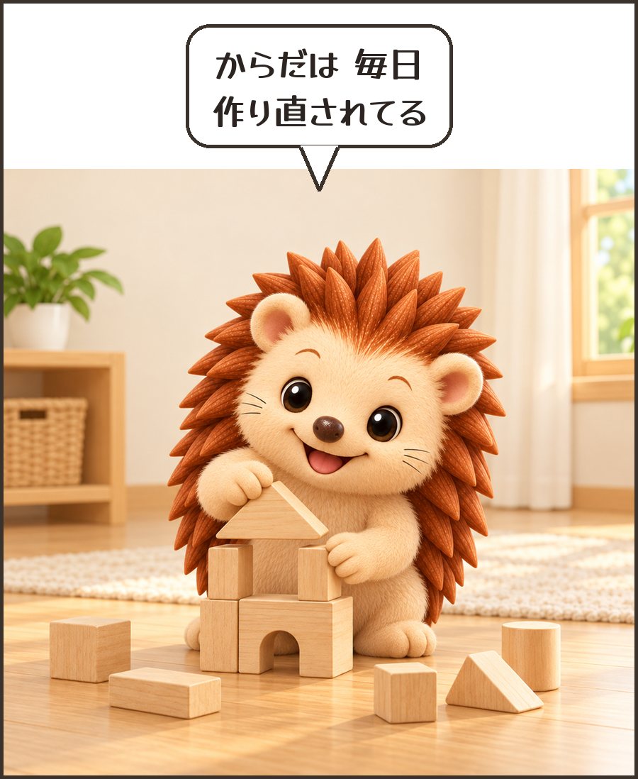 積み木で家をつくるハリーちゃん「からだは 毎日 作り直されてる」