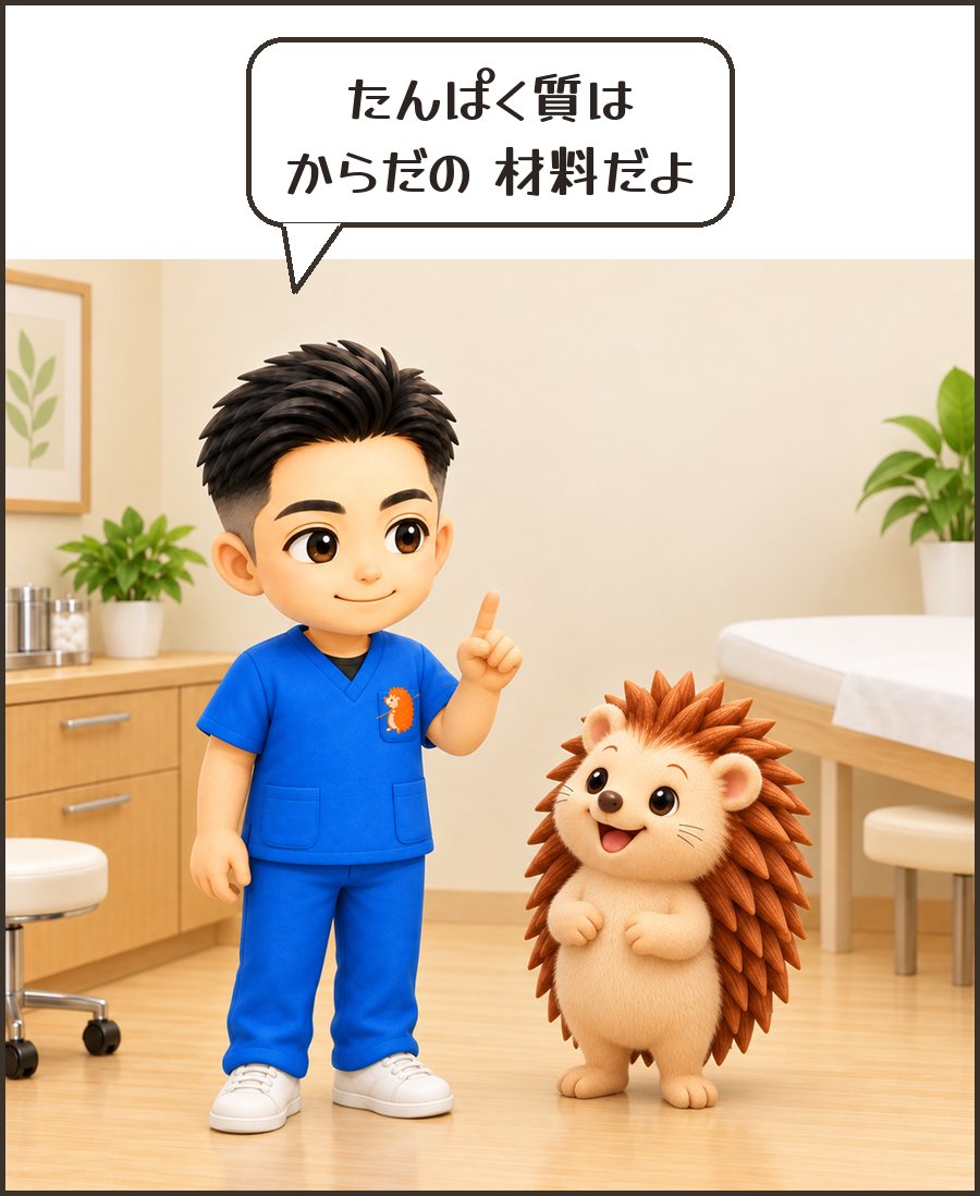 院長「たんぱく質は からだの 材料だよ」