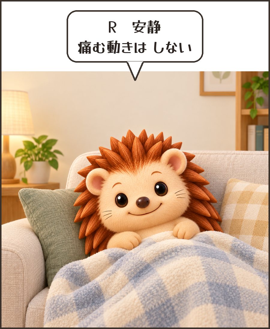 ソファで休むハリーちゃん「R 安静 痛む動きは しない」