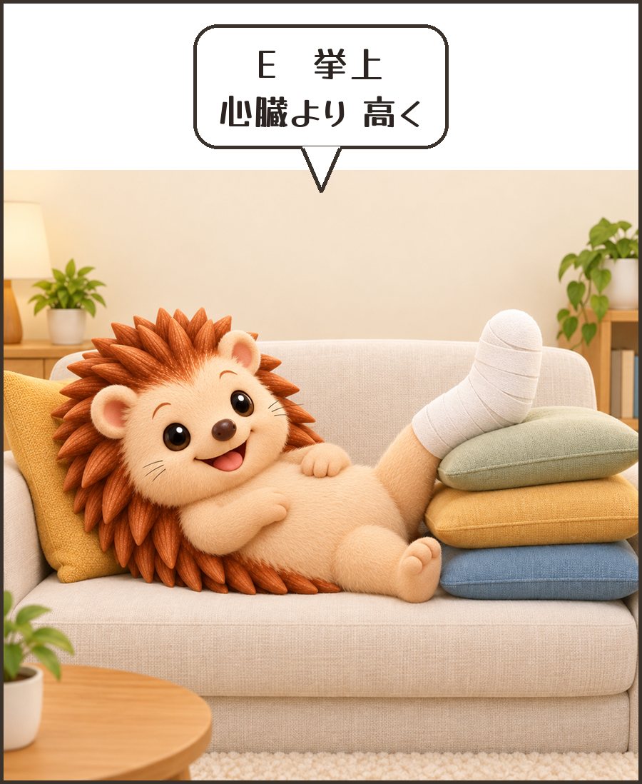 足をクッションで高くするハリーちゃん「E 挙上 心臓より 高く」