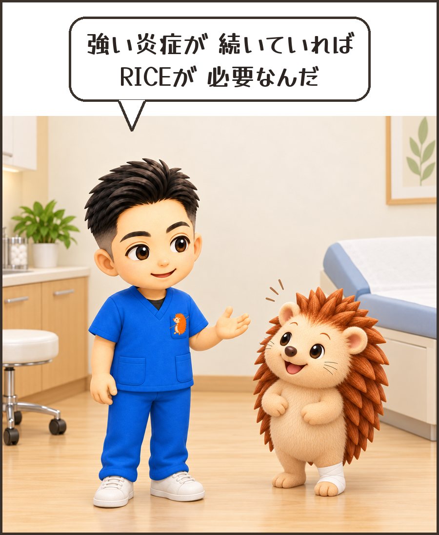 院長「強い炎症が 続いていれば RICEが 必要なんだ」