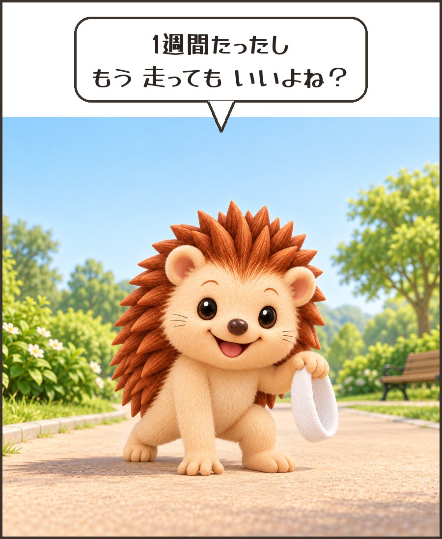走る準備をするハリーちゃん「1週間たったし もう 走っても いいよね？」