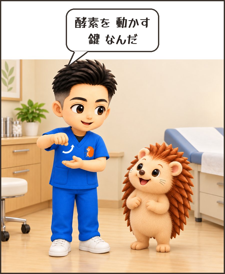 院長「酵素を 動かす 鍵 なんだ」
