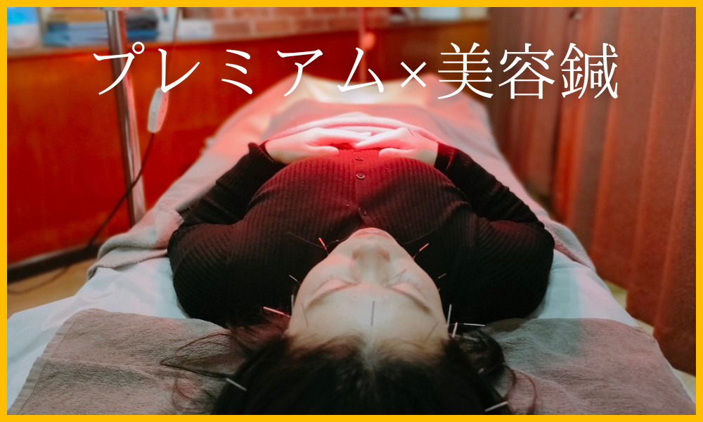 プレミアム鍼灸＆マッサージ×美容鍼の説明