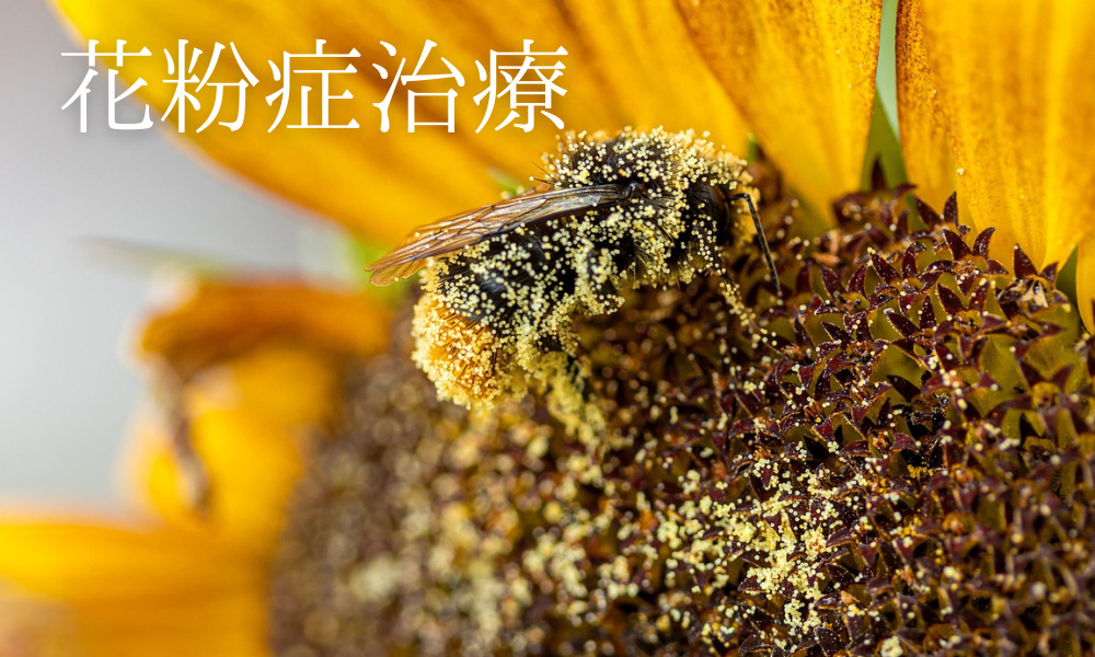 花粉症 - 根本から体質改善を目指すアプローチ