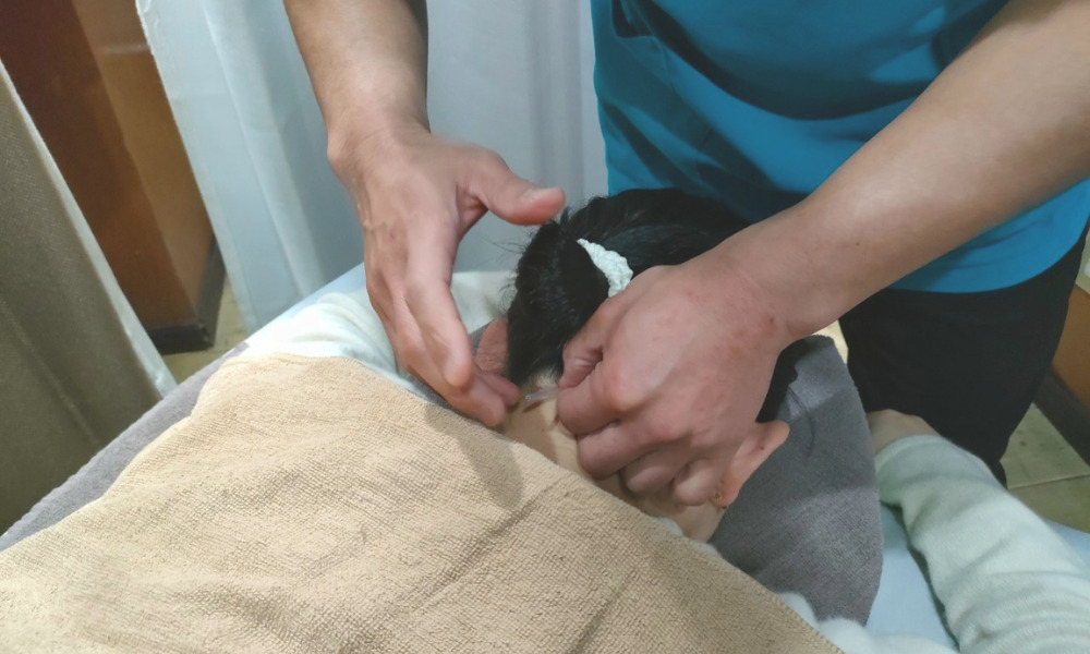鍼灸とマッサージによる自律神経調整