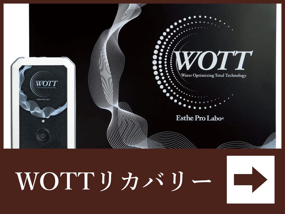 WOTTリカバリー